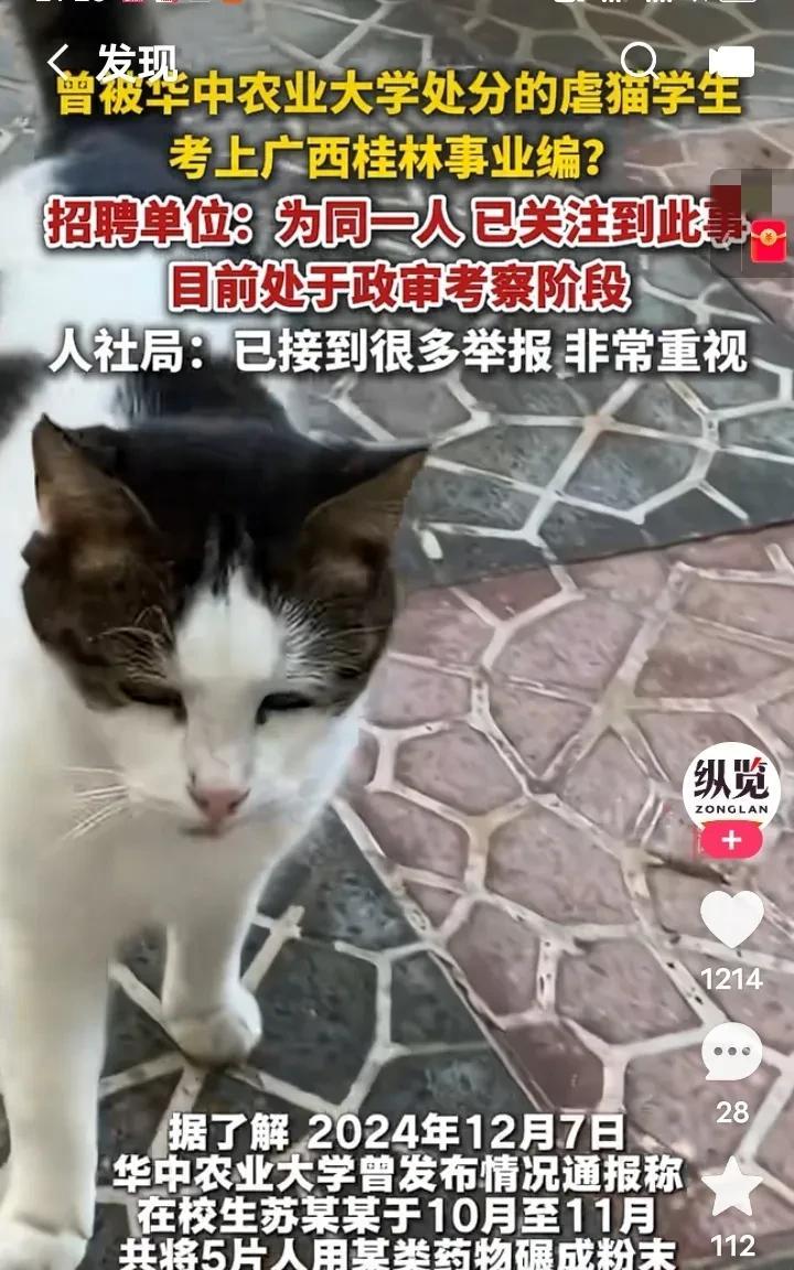 不服别人，就服这届网友，6月30日，据新闻报道：曾经虐猫被大学处分的学生，进入到