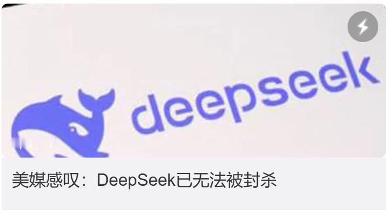 美媒称DeepSeek已无法被封杀开源你怎么封？即使禁止公司用，个人也会用。