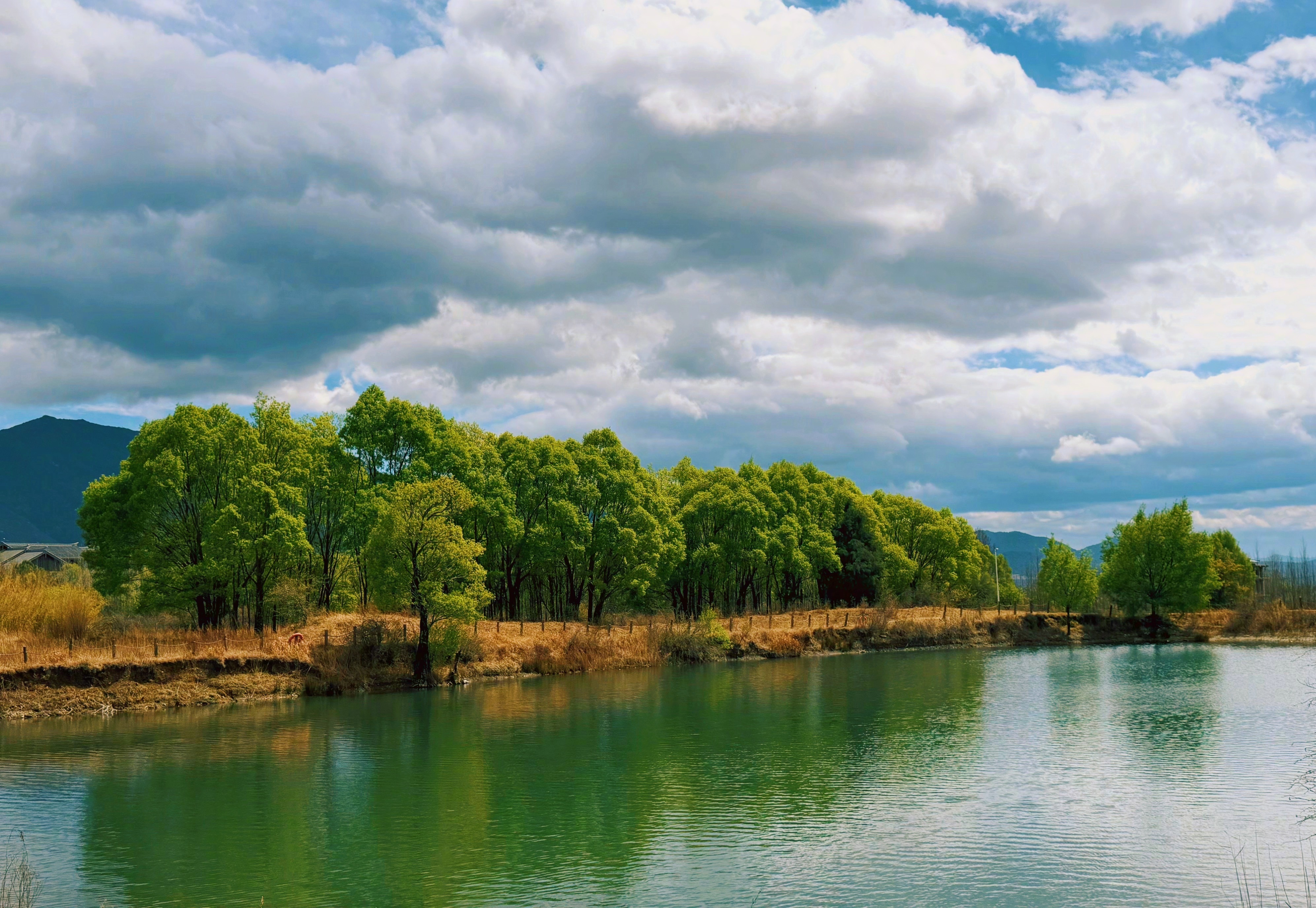 每个人都很孤独，这不是一个道理，而是一个人生最基本的原理，既然是一个原理，是没有