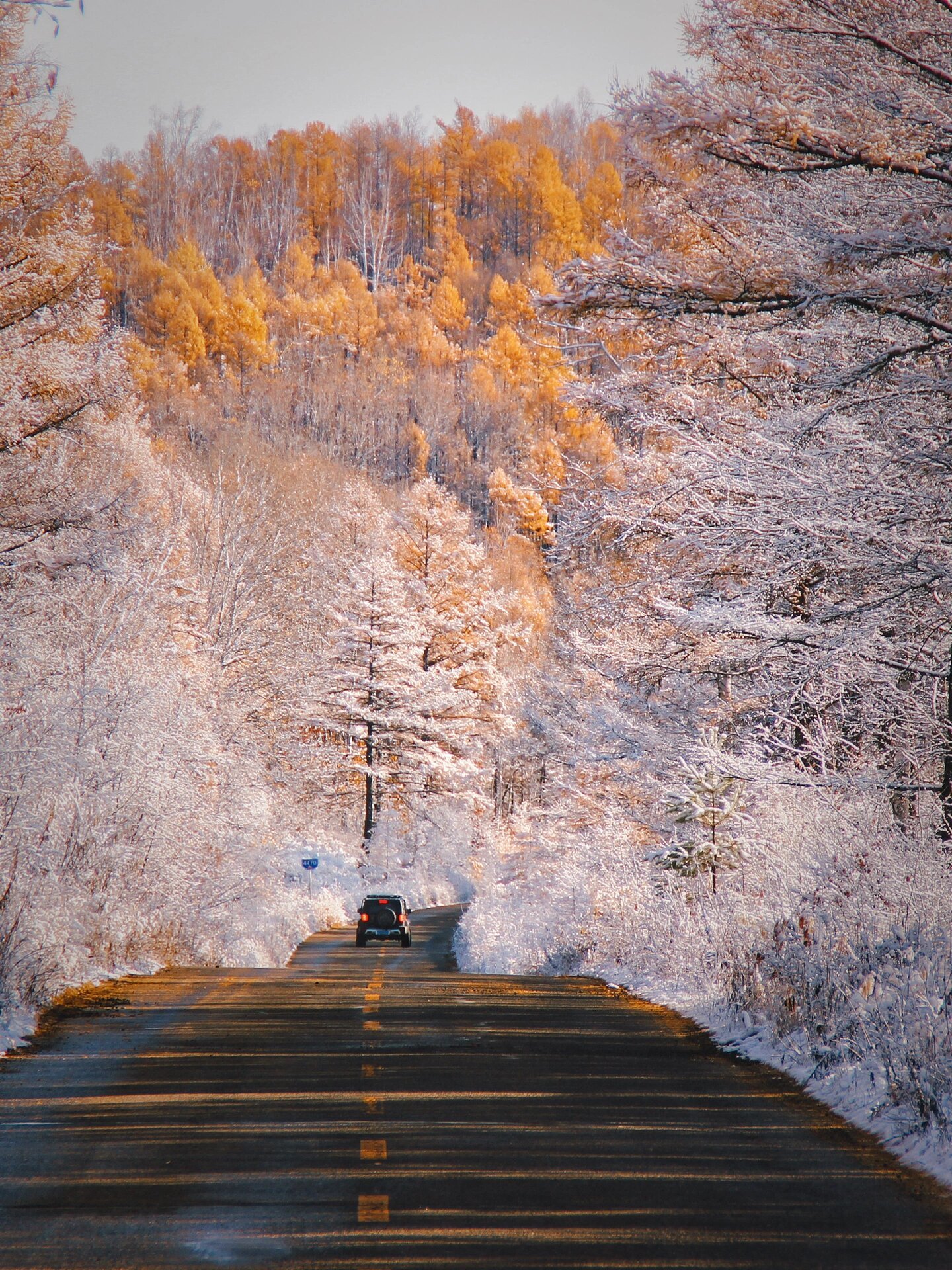 大兴安岭的冬天才是真绝色大兴安岭的冬天之所以是"真绝色"，在于它提供了独一无二的