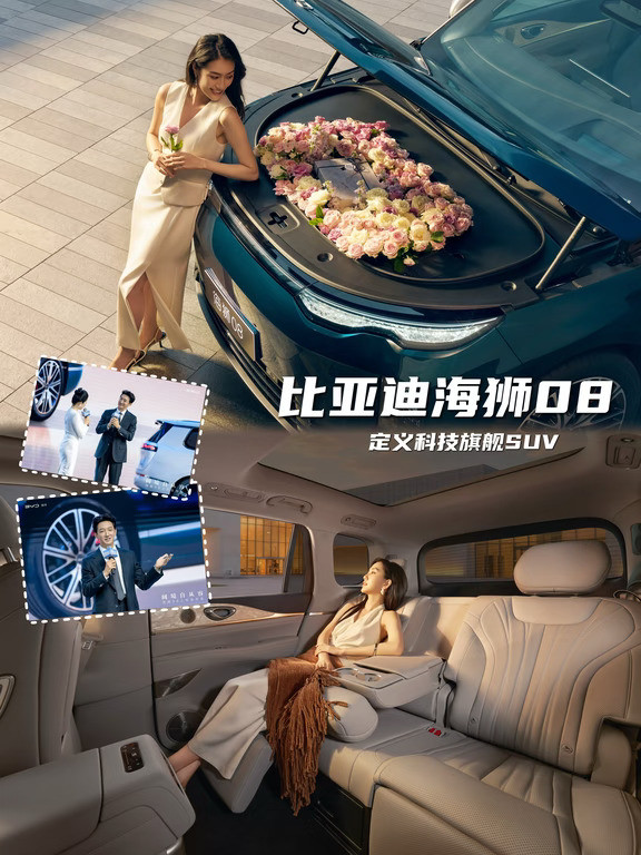 王阳代言这台海狮08，入门版就够卷飞同级了