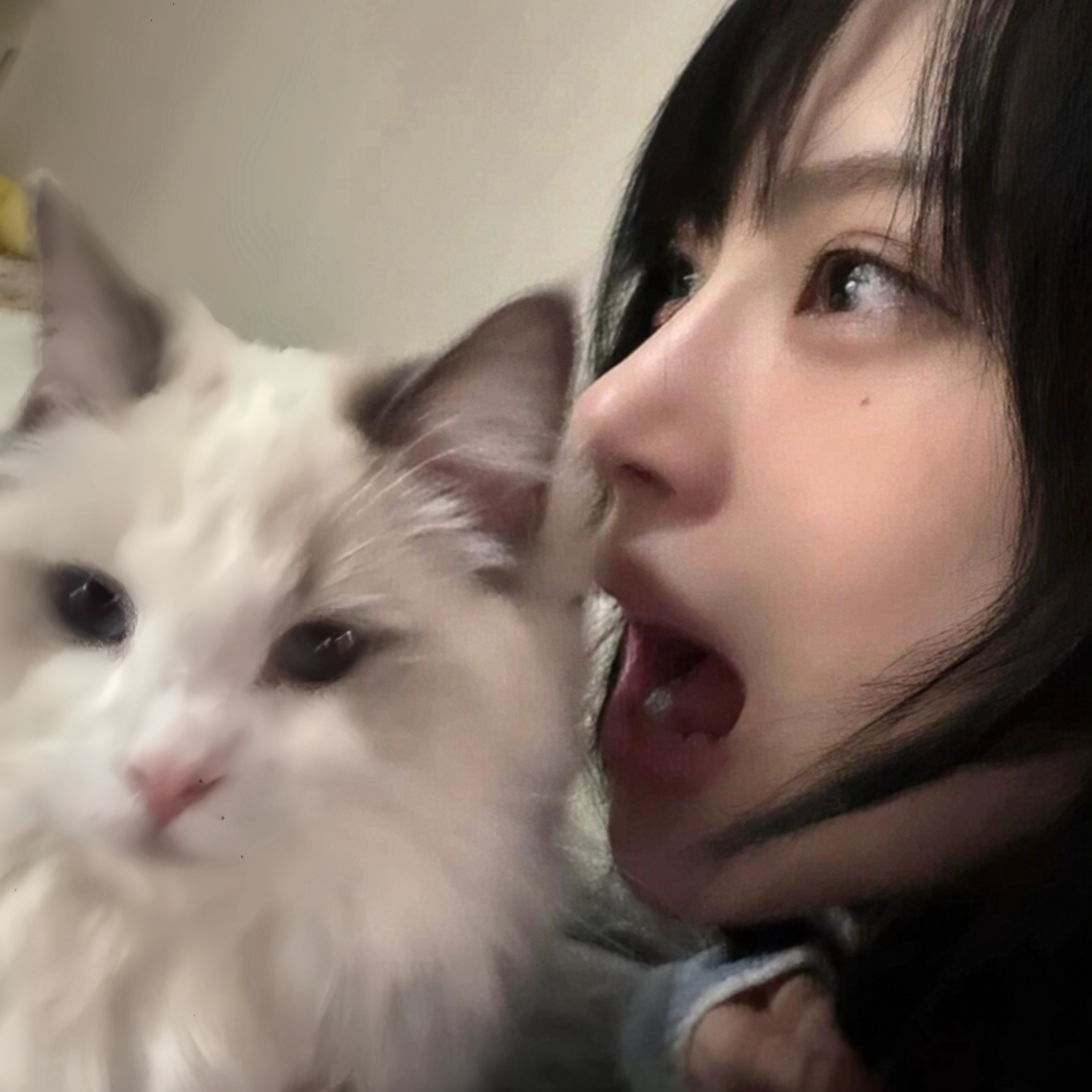 柳多恋和小猫🐱