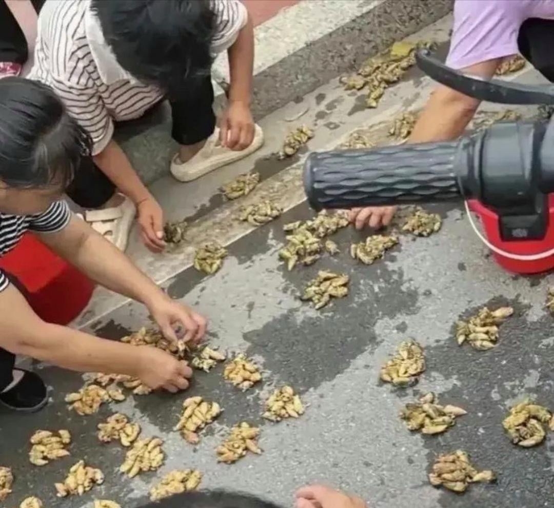 主人家这炫耀，我竟然无言以对