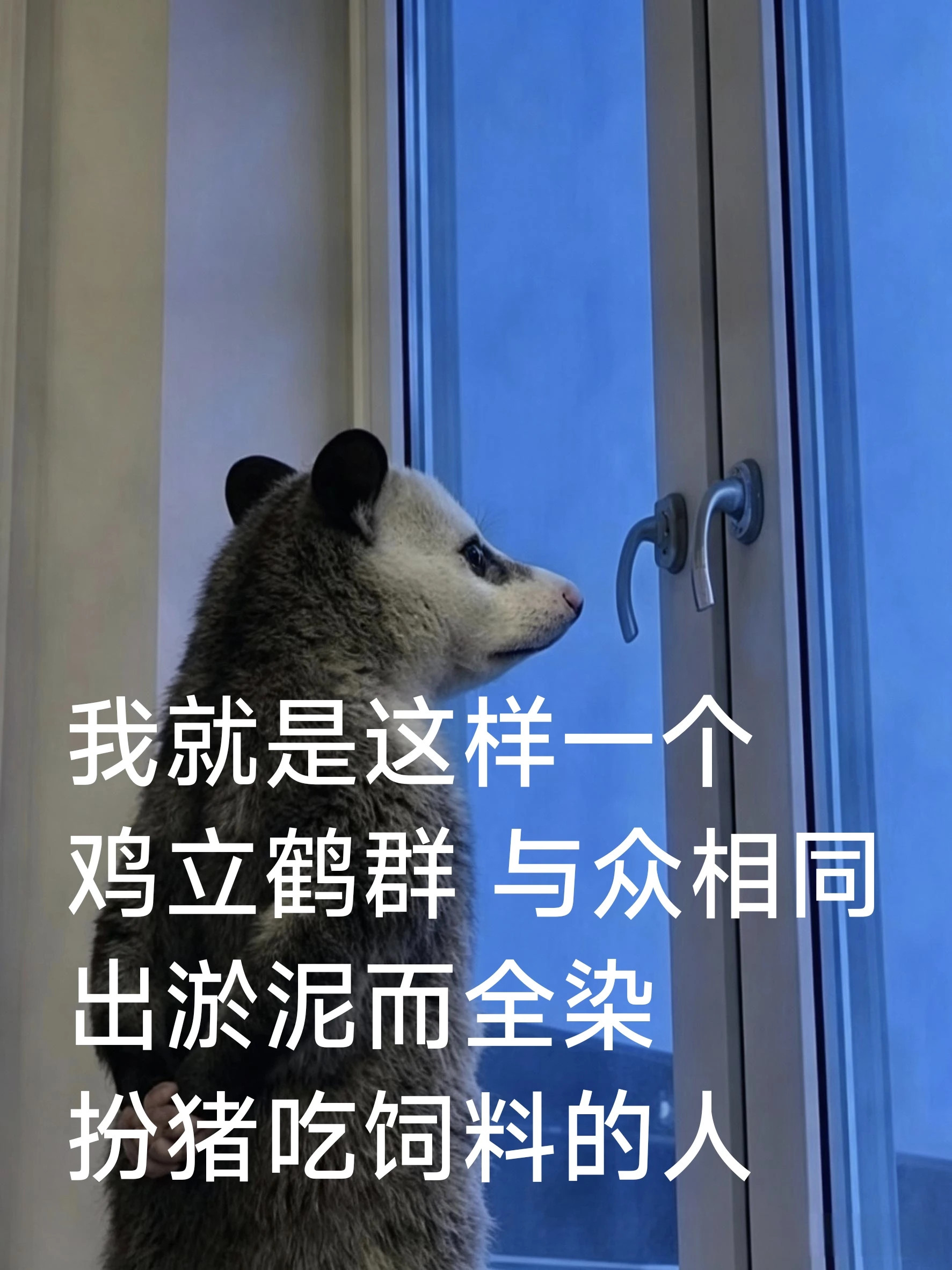 有人明天想来工位cosplay我吗？表情自取吧
