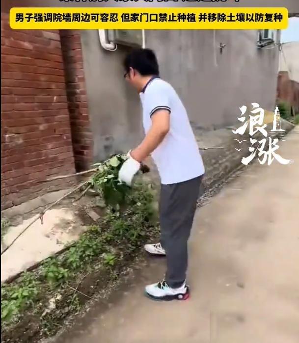 河南，男子的邻居很没道德，就喜欢跑他家门口来种菜。男子心想，这种人咋不干脆把床搬