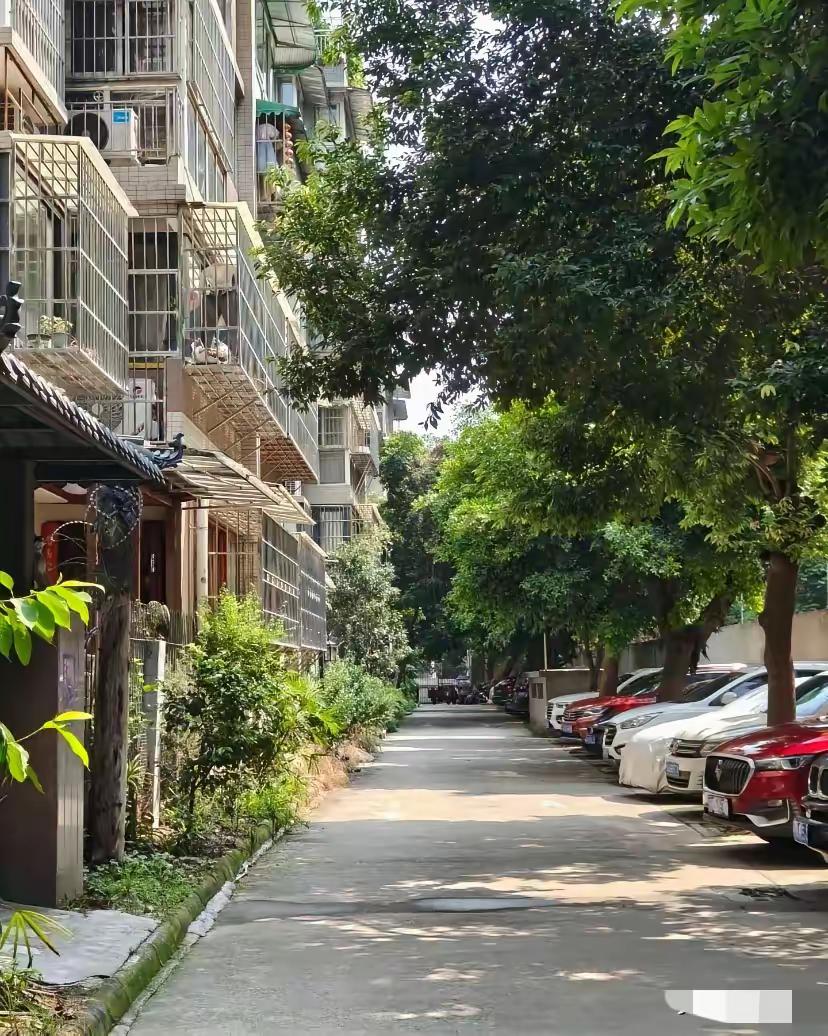 今天算是彻底寒了心了。我闺女，今年三十了，暑假带着孩子回来两趟，口口声声说想