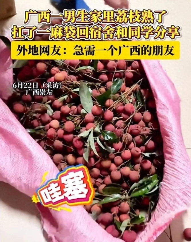笑不活了！广西男生扛60斤荔枝回宿舍，北方同学都在找两广朋友！