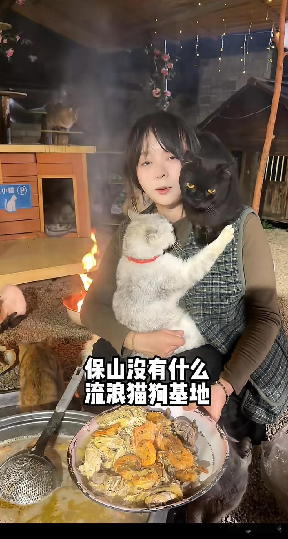 这个漂亮的女孩太有爱心了，收养了120多只流浪猫，每天抛头露面，到饭店捡剩菜剩饭