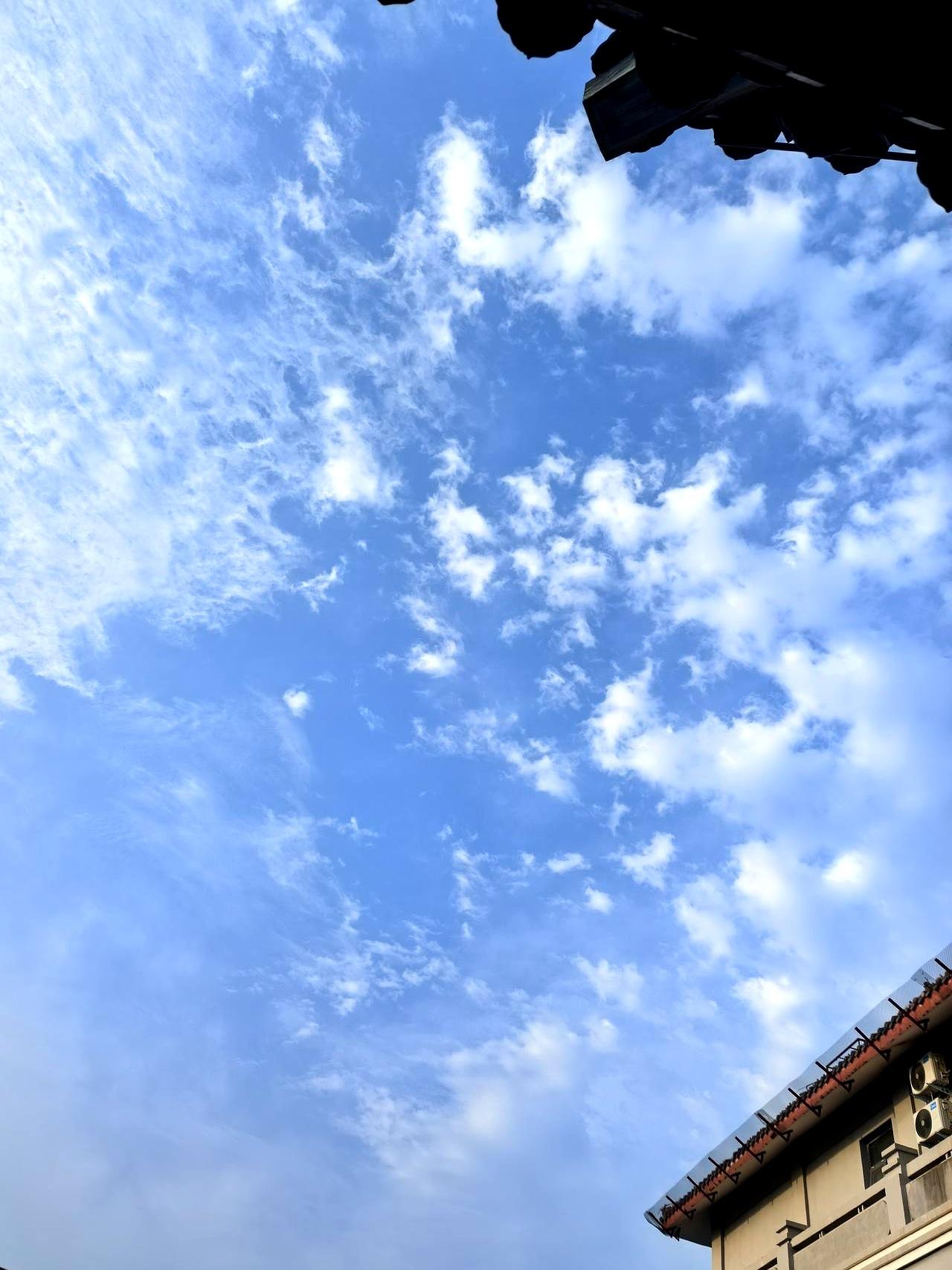 我真是开了眼了，儿子刚谈个对象，这姑娘第一天就想直接住进我家。更离谱的是，白天