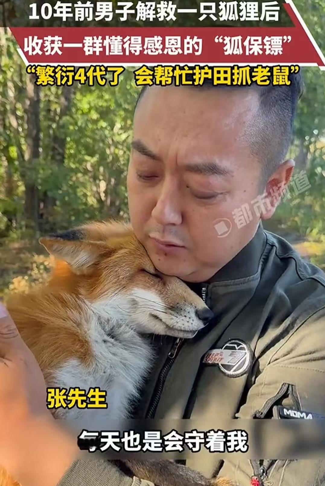 你说咋就这么巧千年前，书生救了一只白狐千年后，大哥也解救了一只白狐！只不过