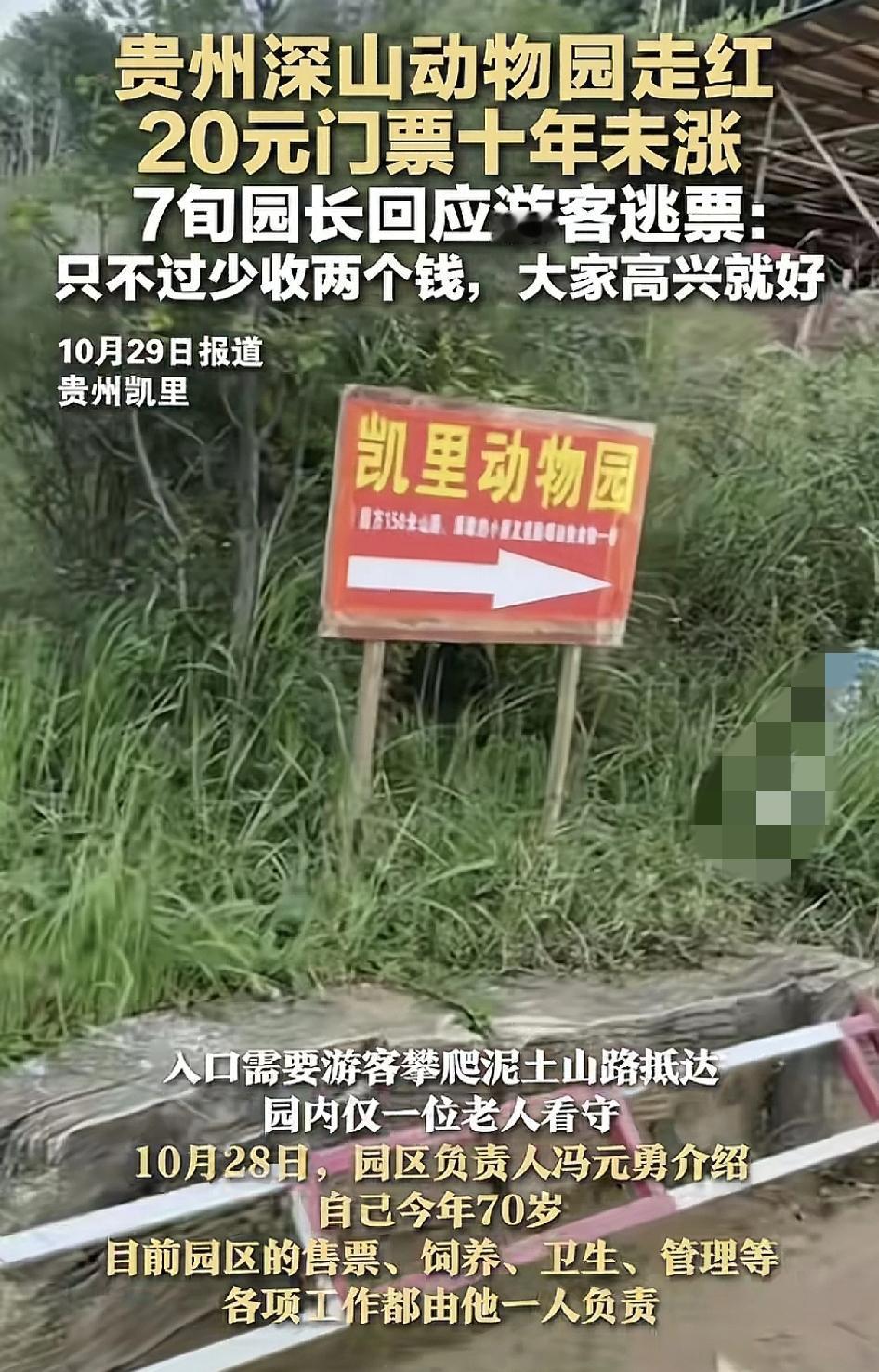 贵州凯里一家深山动物园意外走红,20元的门票可以看到20种动物,包括老虎、黑熊等