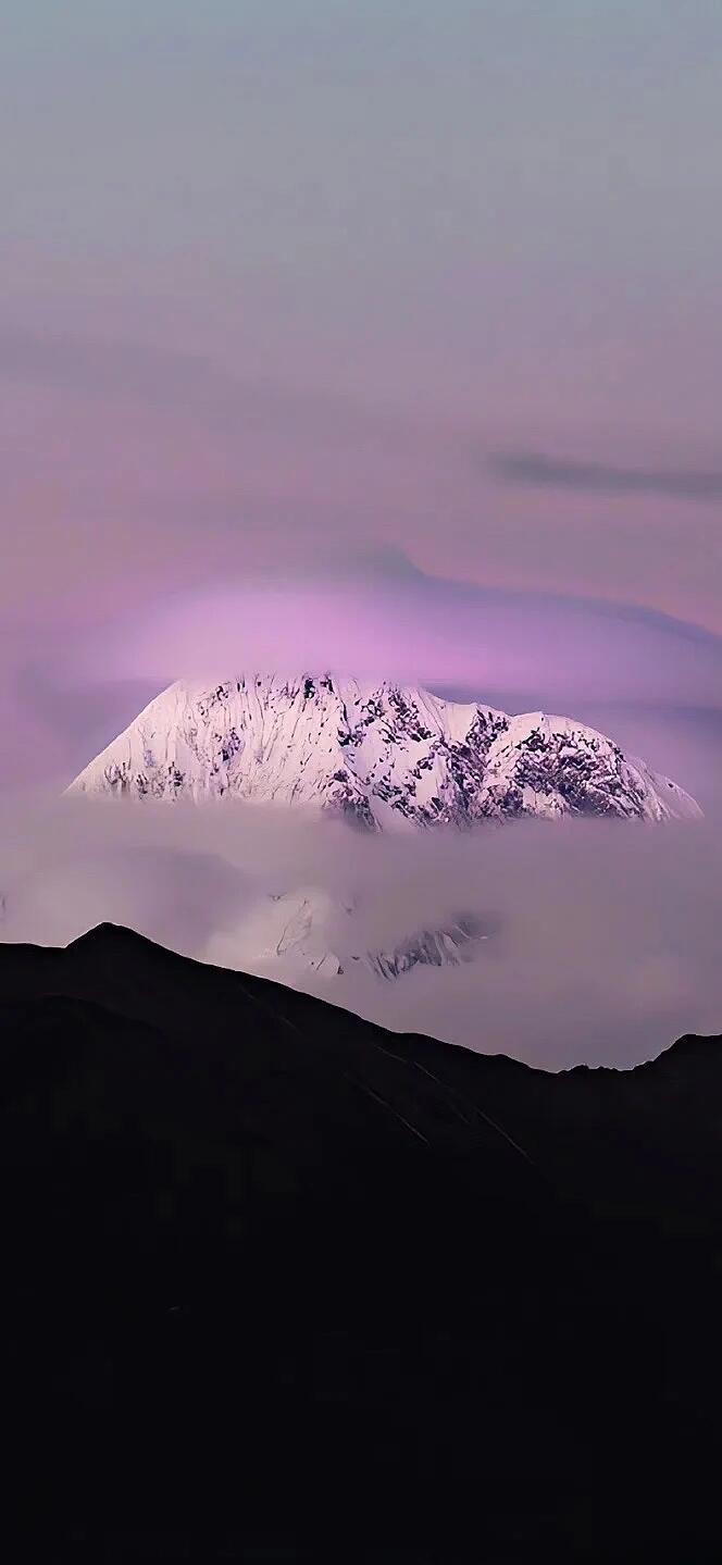 壁纸｜紫色温柔又浪漫💜壁纸​​​