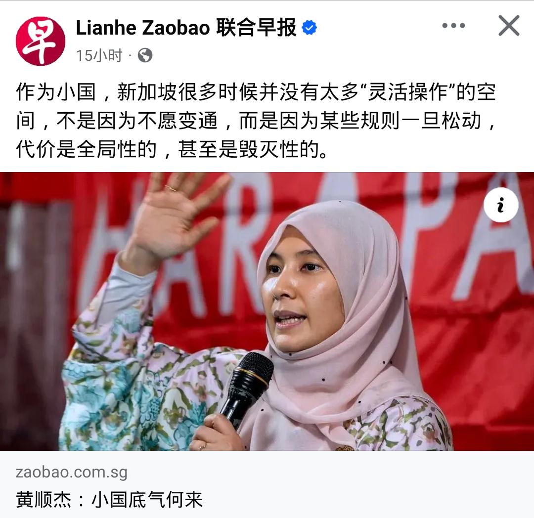 安瓦尔的女儿惹了马蜂窝了！马来西亚的努鲁·依莎，这回捅了新加坡的“马蜂窝”。