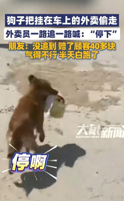 “亏大发了！”9月29日，甘肃兰州，一外卖骑手上楼送餐时将另一份餐挂在车上，没想