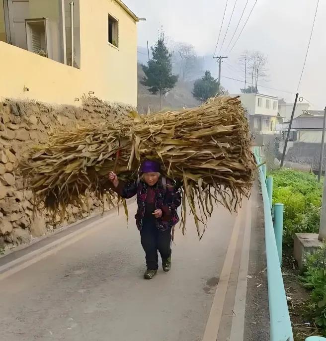 就农村摞荒的问题我认为有几点需要解决一鼓励农民种药材，政府部门加大宣传力度