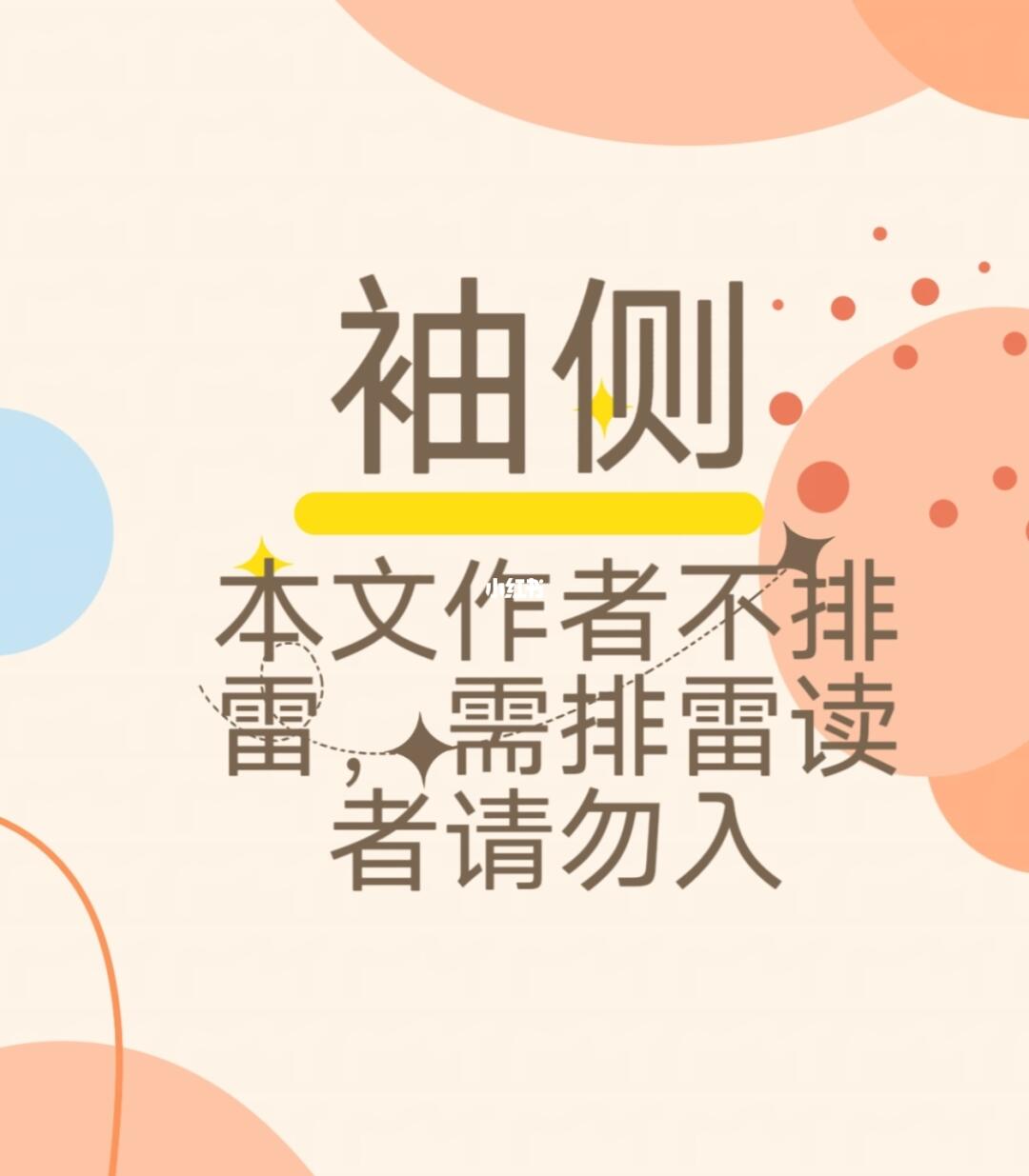 袖侧，本文作者不排雷，需排雷读者请勿入