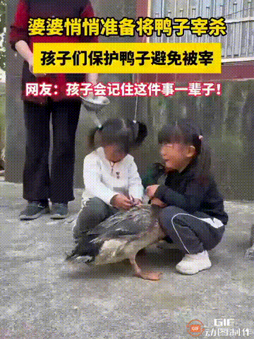 太暖心了！安徽一位老人准备将一只长大的鸭子宰了，她的两个孙女得知后，赶紧跑出来保
