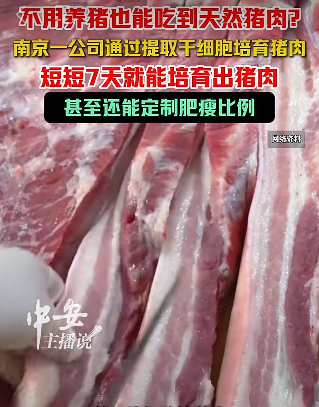 逆天了！不用养猪，也能吃上优质猪肉。这项技术就是利用猪的干细胞，生长出猪肉。我