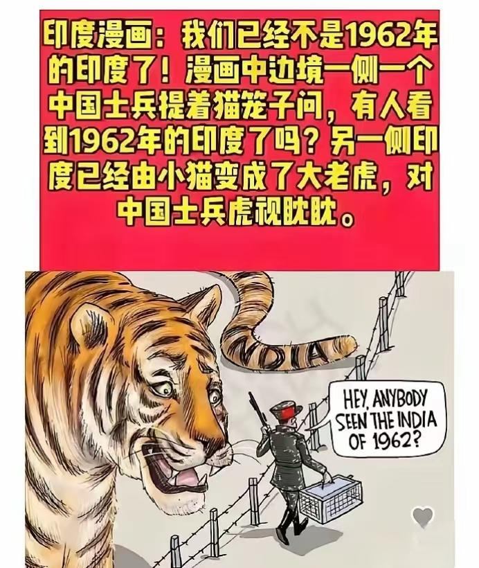 印度人画的漫画总带着股莫名喜感，画里中国军人提着个装猫的笼子，想找1962年时的