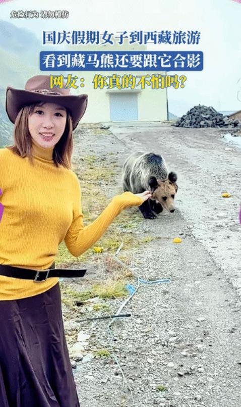 “胆子太大了!”西藏，一名年轻女子去旅游，看到藏马熊后，丝毫不惧，伸出一只手招