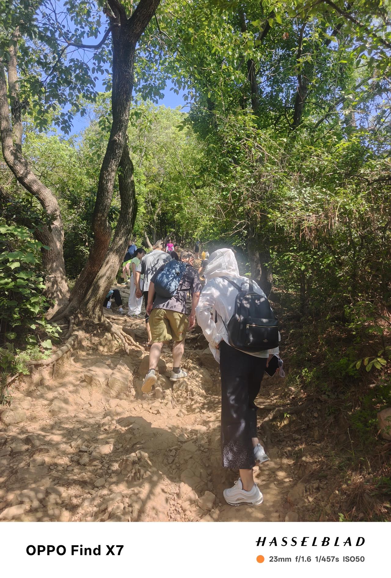 惠山闲行，偶遇山野灵趣上周五天色阴沉，无风无暑，褪去了连日的燥热，格外适合