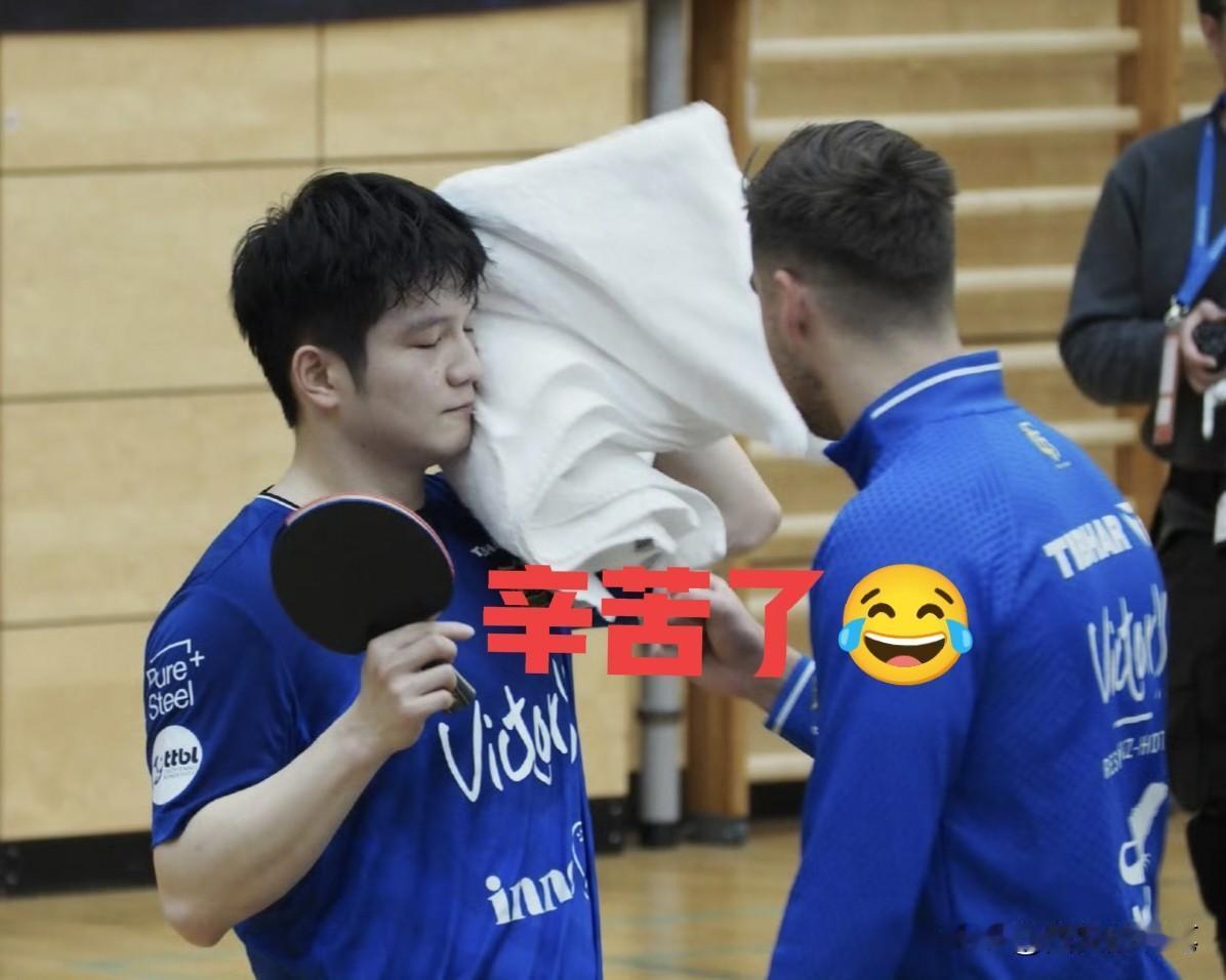 樊振东擦汗这一幕，让人快看哭了[笑着哭]，一起进来看看瞧，大颗大颗的汗水，挂满了