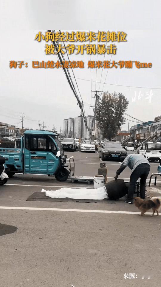 笑的肚子疼！狗子出于好奇心围观正在爆爆米花的大爷，它刚蹲一旁，没想到下一秒直接被