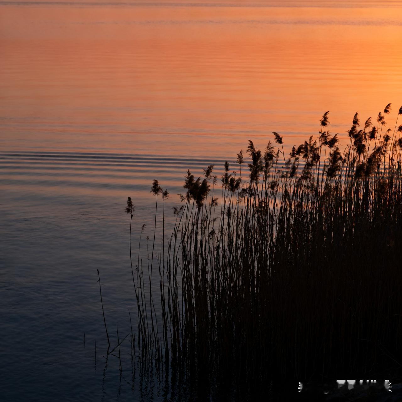 人到中年才懂：困住你的从来不是生活，是你自己江边偶遇一位垂钓的老者，守了整