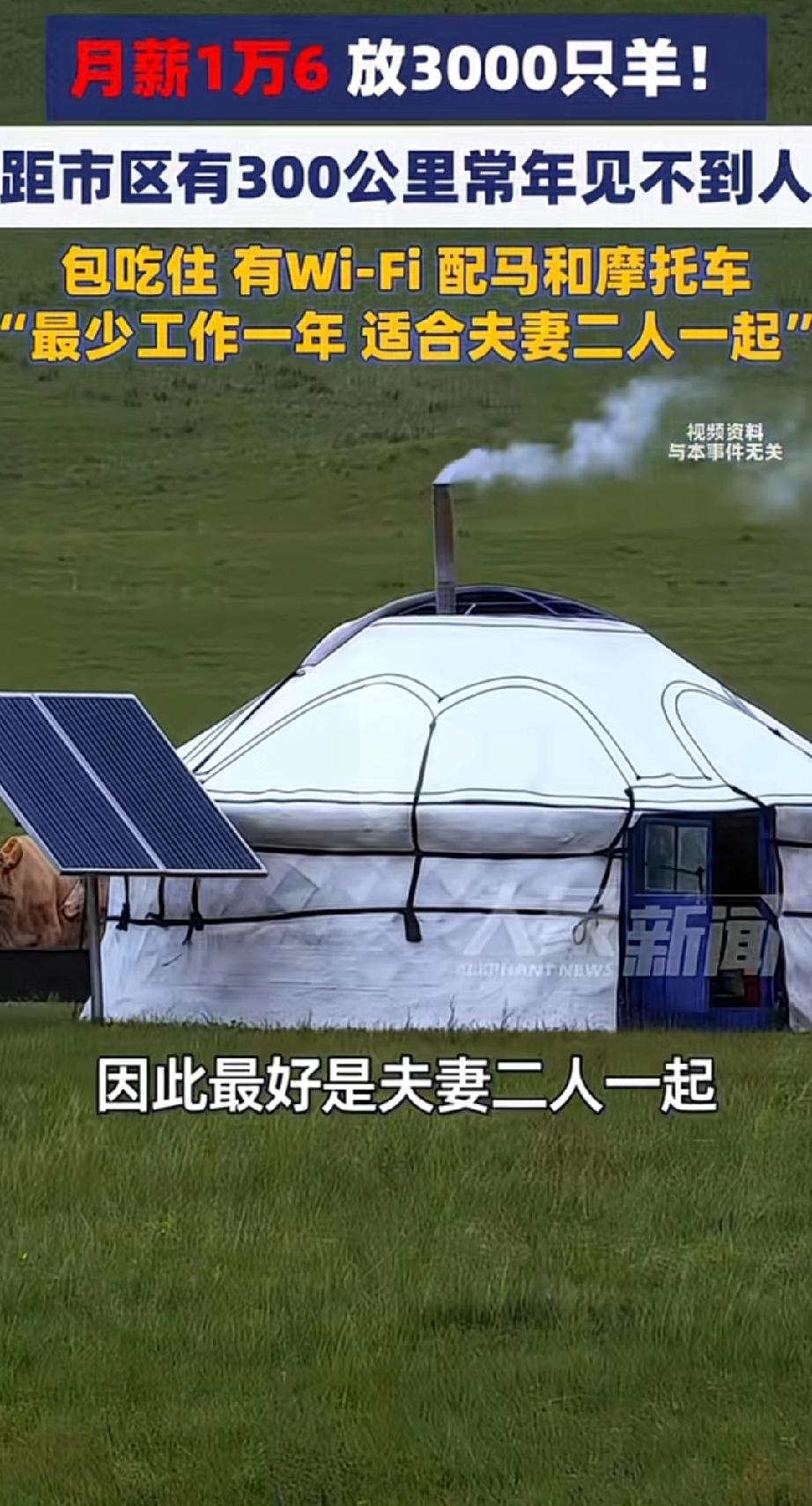 你行不？内蒙古，一老板发布一则招聘信息，月薪一万六，放3000只羊，包吃住，有W