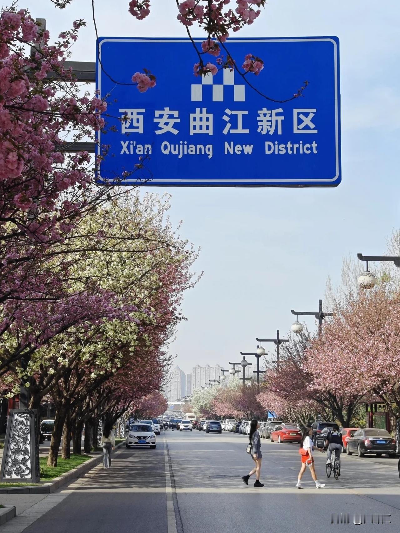 今天被“曲江没了”刷屏了。都在说曲江时代结束了…应该只是行政职能移交，要专心