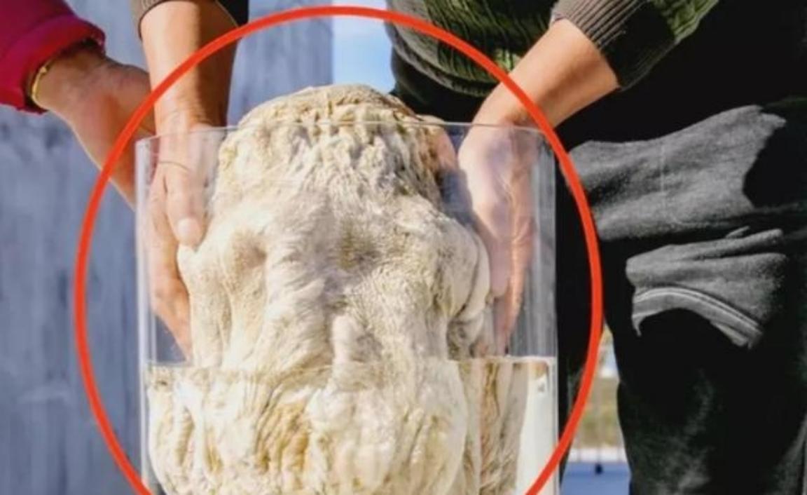 2001年，甘肃酒泉，一农妇出门前煮了一锅红薯，等回来后喂猪，可回家后一看锅里空