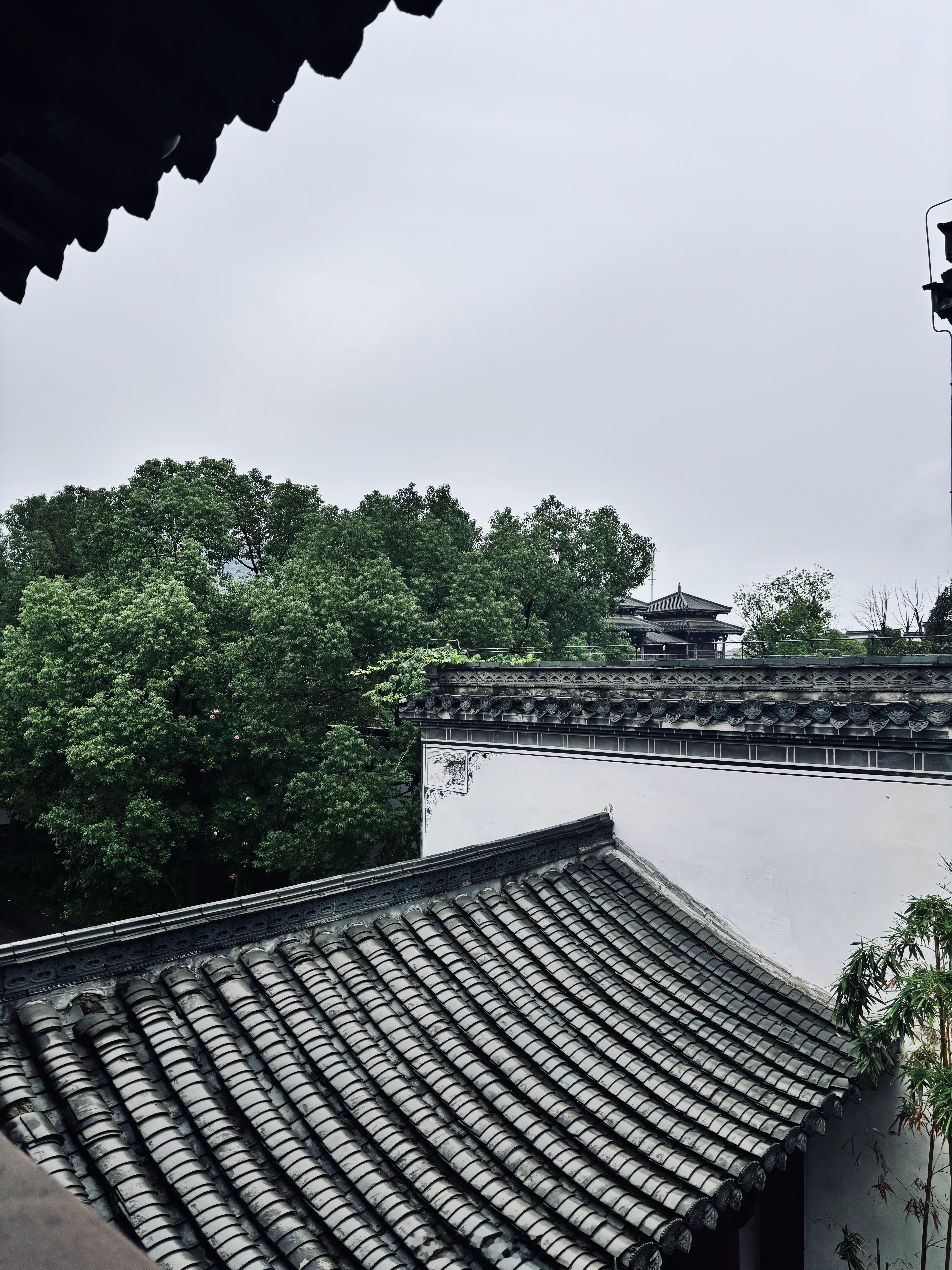 一天就深秋了​​​