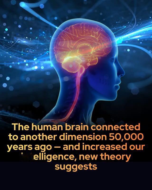 一个颇具争议的神经科学假说正在挑战我们对“意识”的认知：人脑也许并不是产生意识的