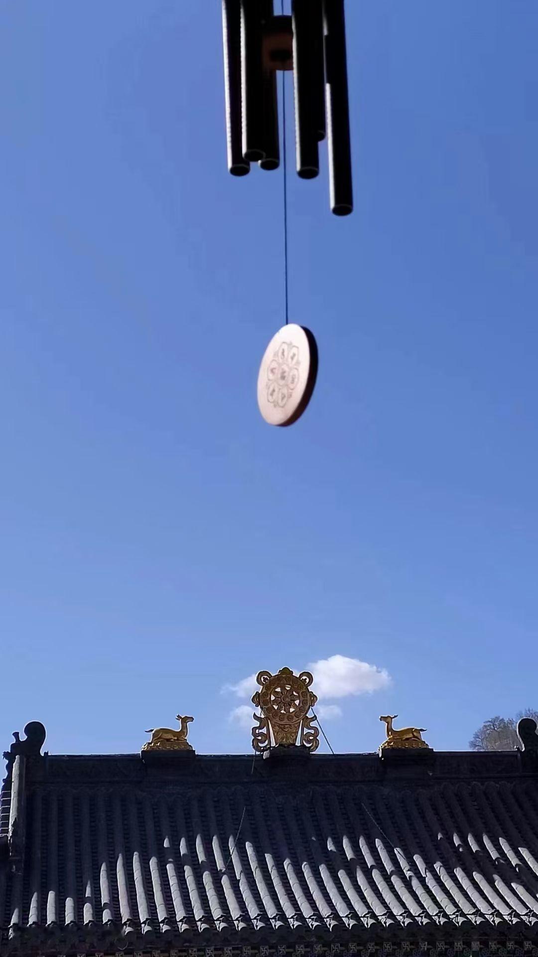 3月30日殡葬新规落地！死不起终于翻篇，老坟不用慌墓地比房价贵，死不起成了