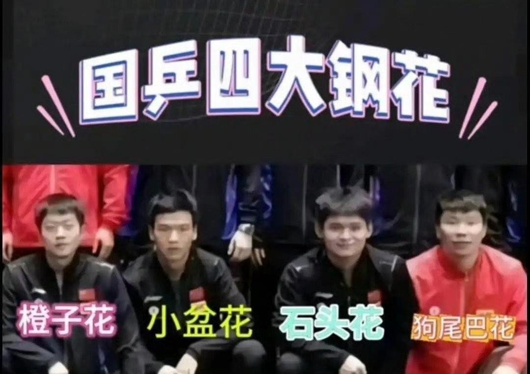多久没见到这么震撼人心的场面了！林诗栋、向鹏、袁励岑、徐瑛彬国乒四大钢花竟然齐
