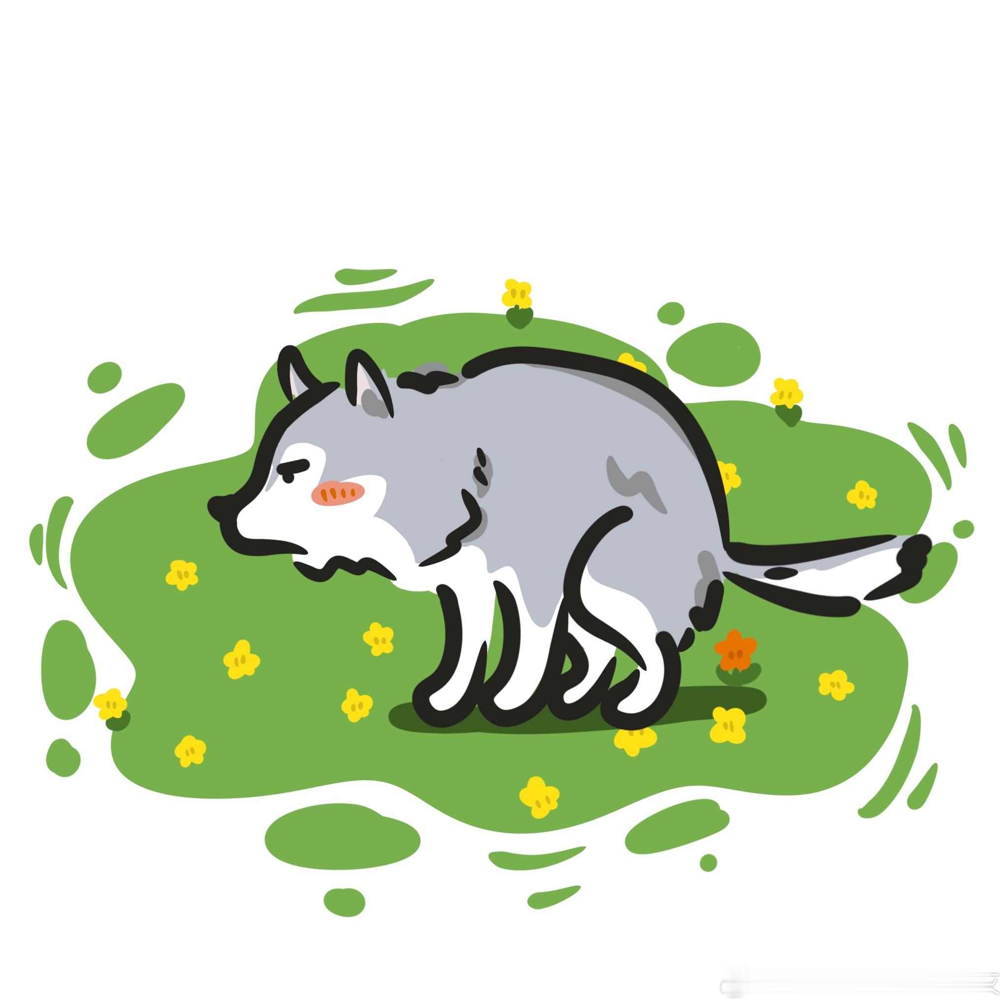 哈士奇是谁还没有春天的新头像