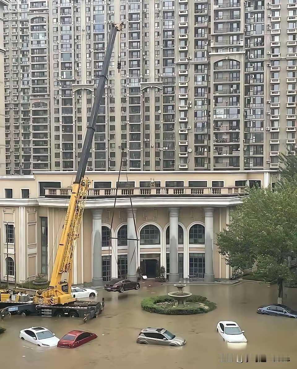 不懂就问宾利吊一天多少钱啊？