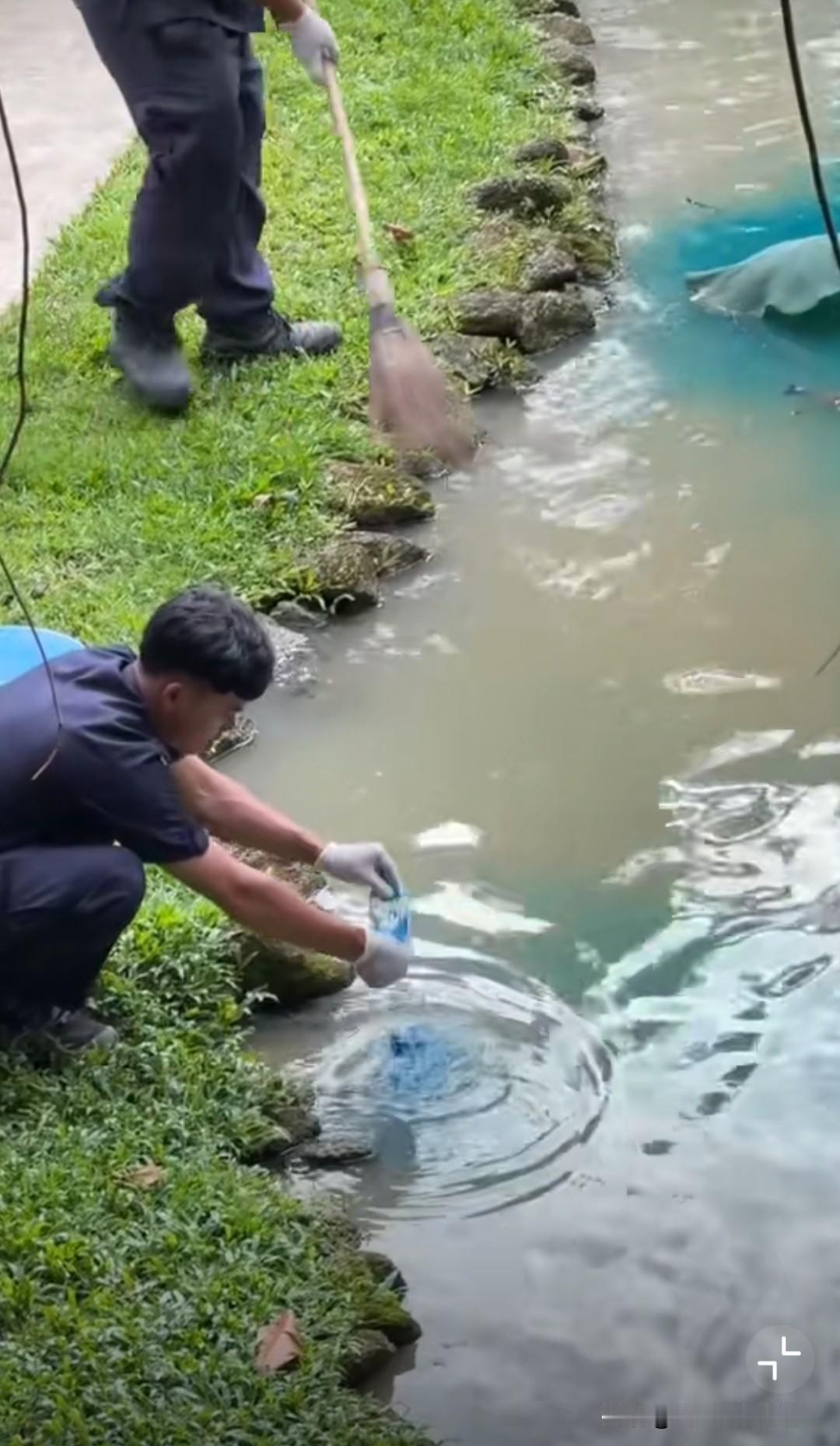 在泰国旅游的欧美游客惊讶地发现，泰国景区的碧蓝池水是用颜色染上去的……