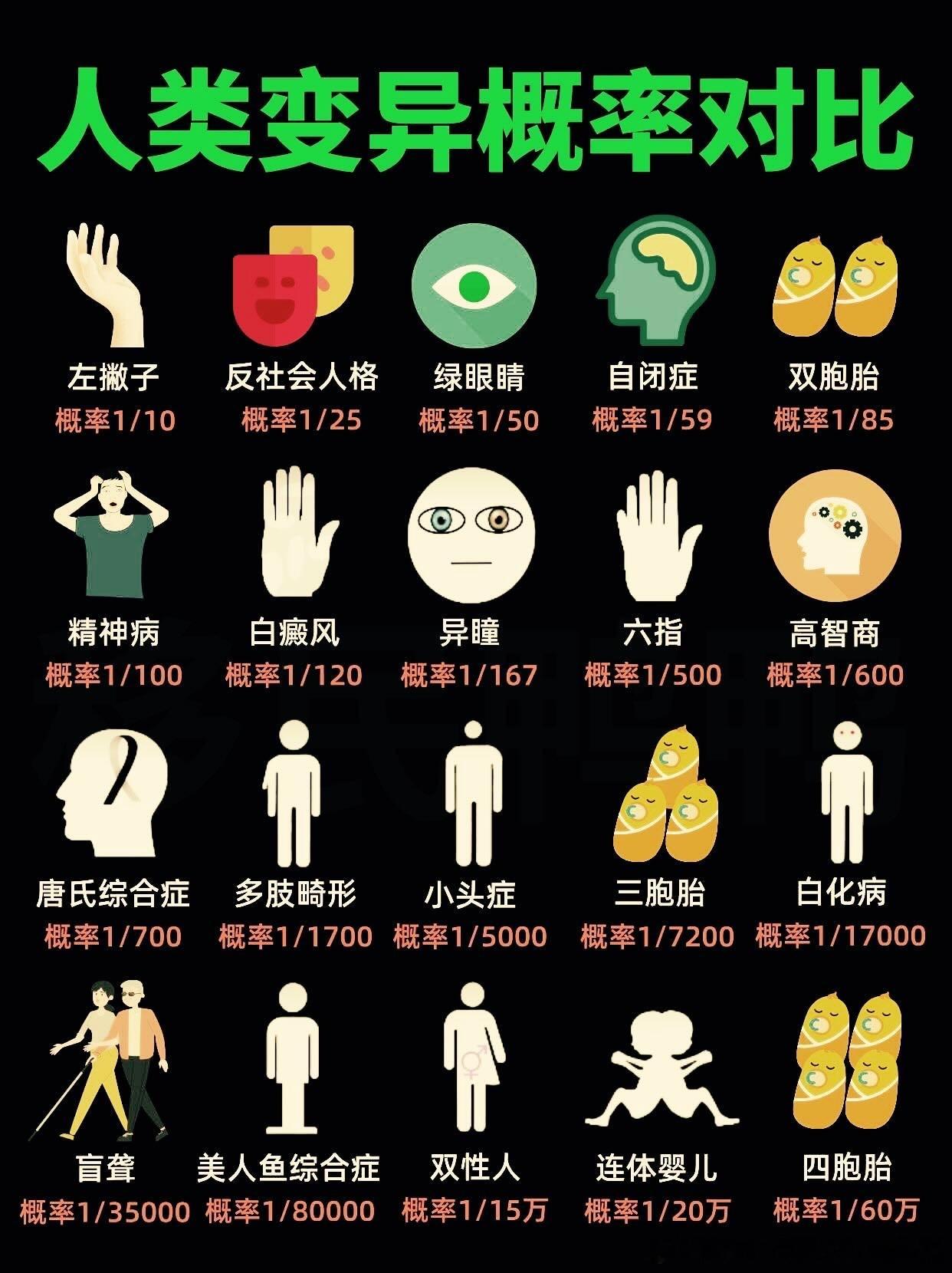 人类变异概率对比​​​