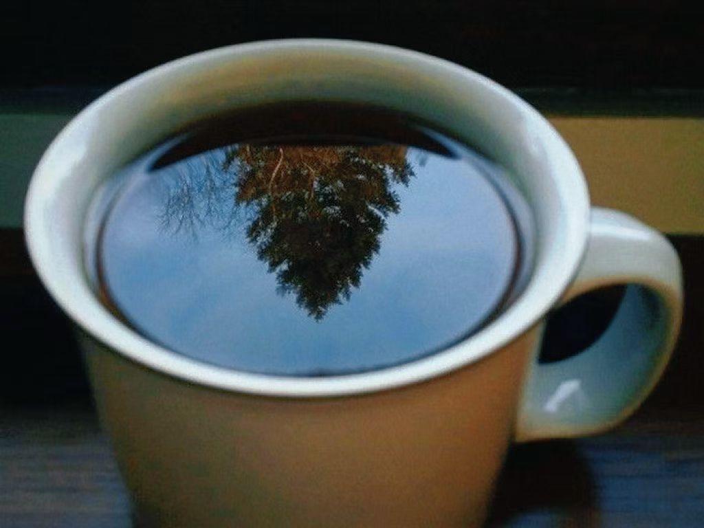 嘿，姐妹，你发现没？现在五十多岁的女人，跟咱们记忆里的“老太太”根本不是一回事！