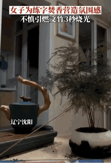 氛围有了，竹子没了