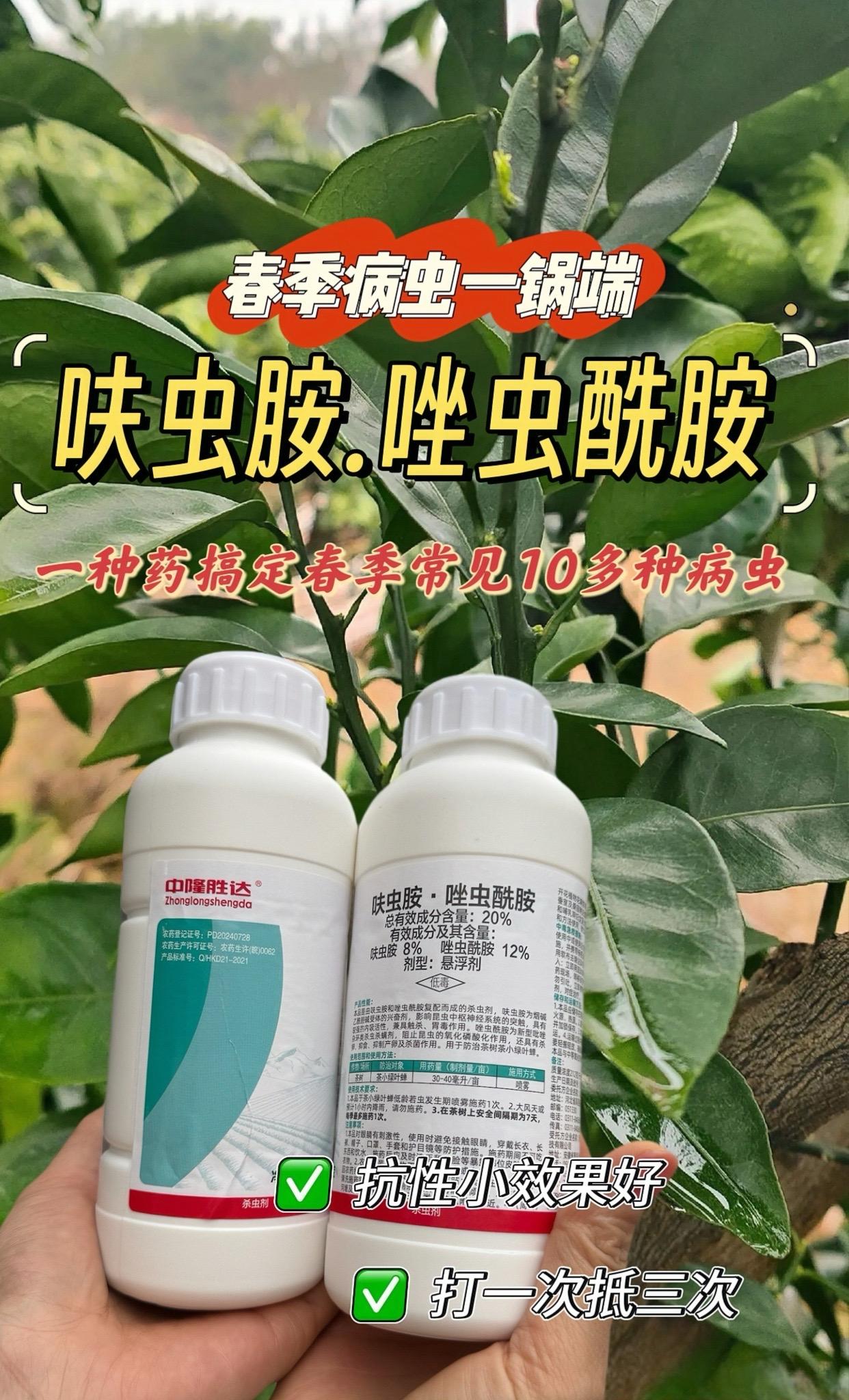 柑橘害虫一锅端用呋虫胺.唑虫酰胺，常见的木虱/蓟马/潜叶蛾/蚜虫等一种药搞定十多