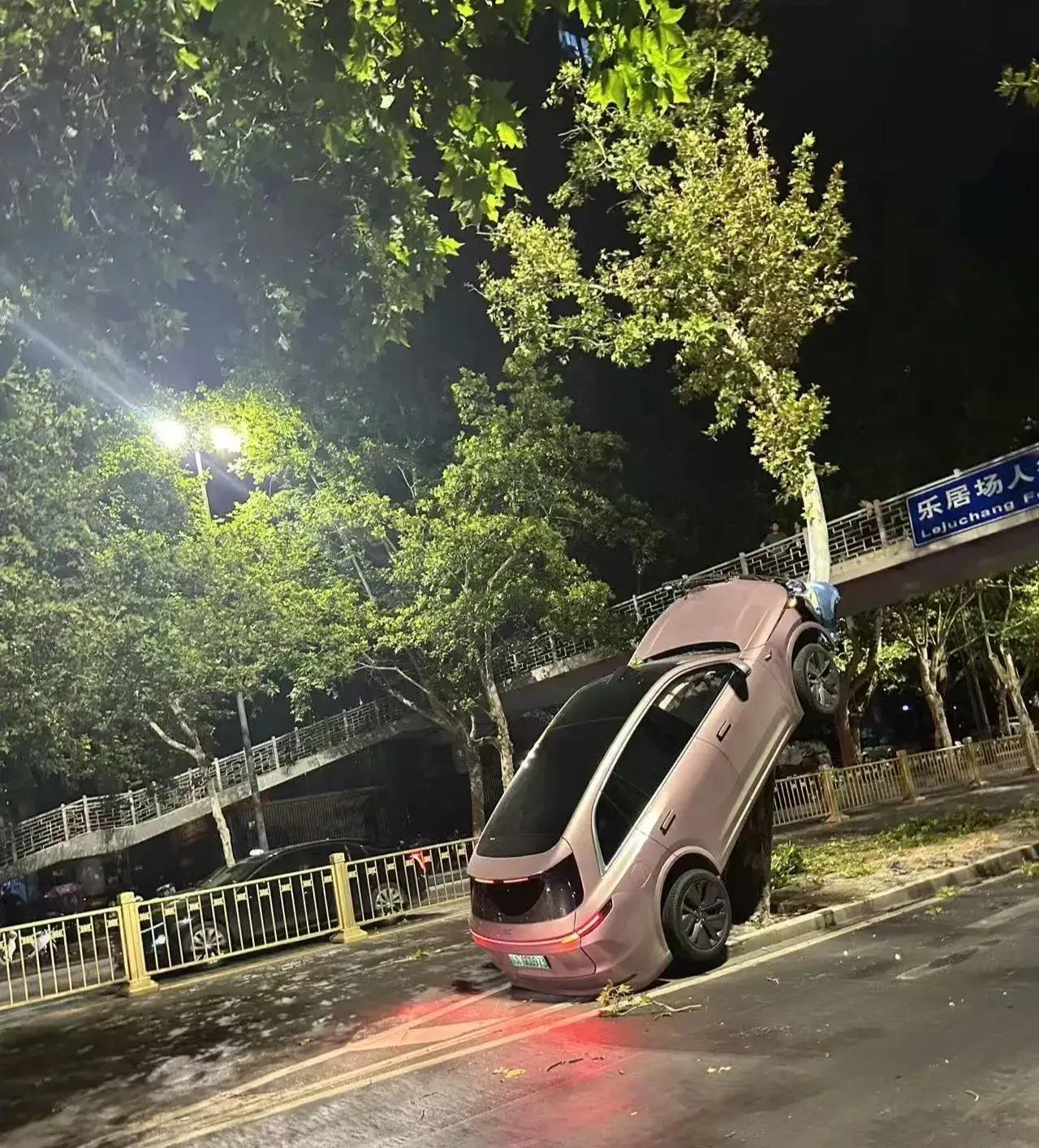 汽车能上树，这是功能真的强大呀。