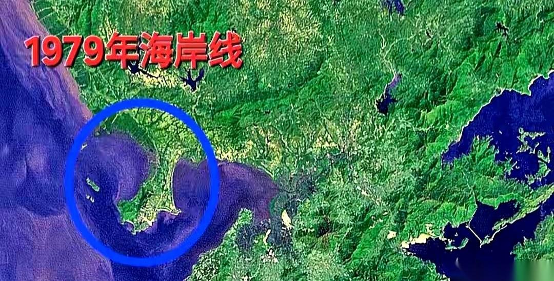 你脚下踩着的这片深圳，40年前，很可能只是一片汪洋。别不信。你现在去打卡的那些