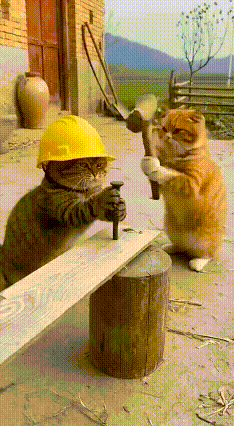 这得有多大的仇啊？一下，两下，老子不干了，干你！[笑着哭][笑着哭][笑哭