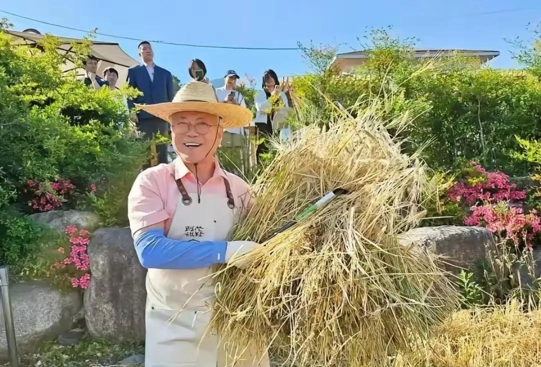 文在寅真的是好搞笑一个老头！李在明上台之后，知道自己不会被找麻烦了，今天在社交