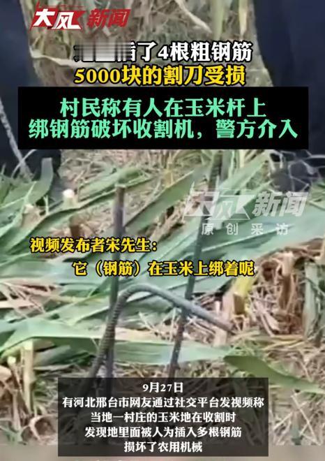 河北邢台，男子驾驶收割机抢收玉米，谁知过程中发出了金属摩擦的声音，随后收割机的割