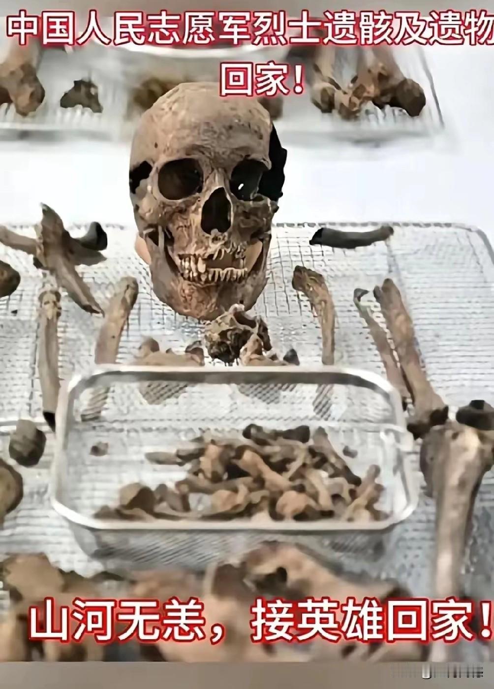 看到志愿军遗骸回家的画面，泪水不禁涌了出来，离家的时候，他们血气方刚，用热血和青
