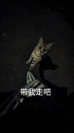 这视频看得心里酸酸的，小猫咪紧紧勾着主人衣服不肯撒手，睁着圆圆的大眼睛眼巴巴望着