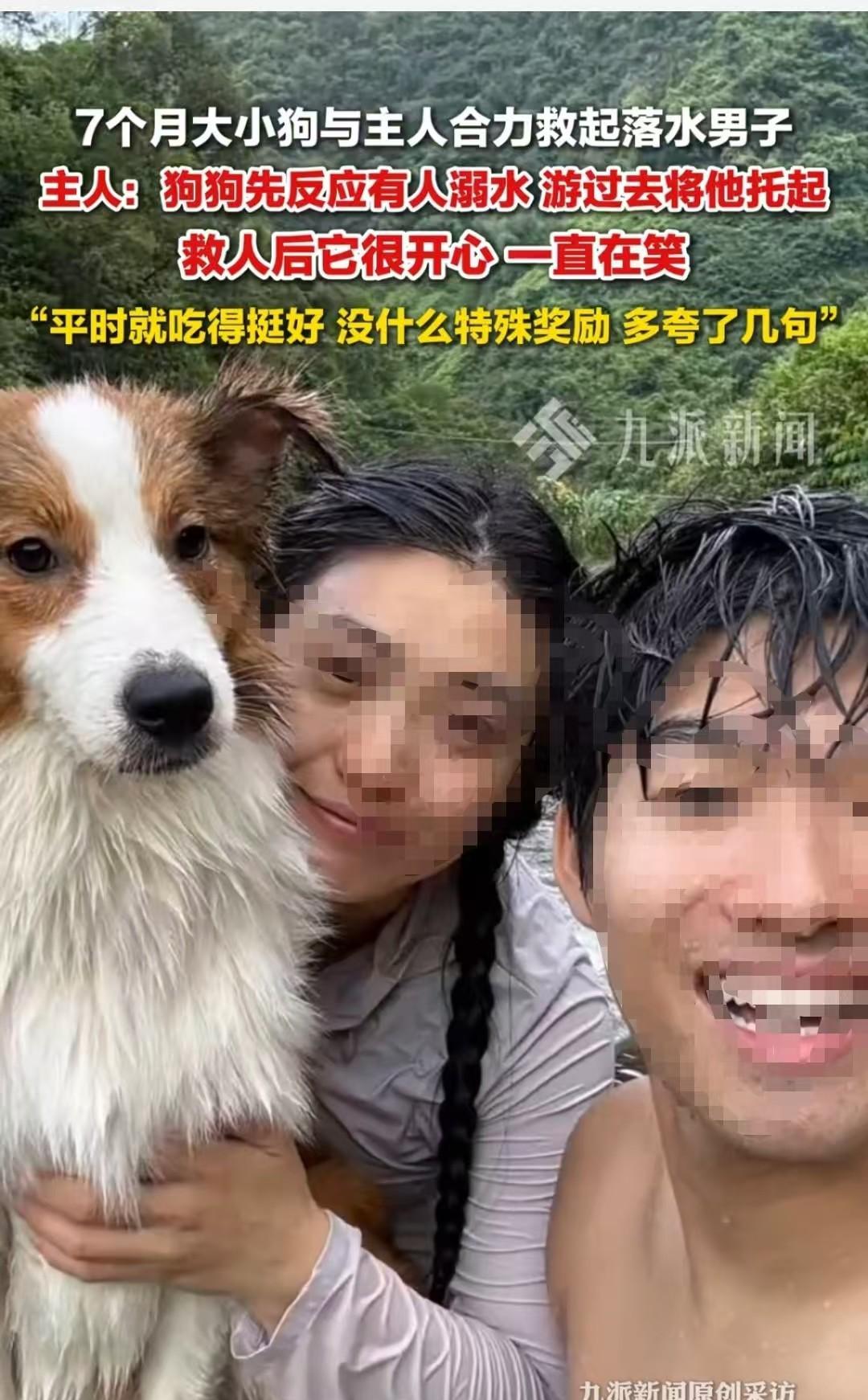 广东，男子带狗狗游泳时，发现有人溺水。狗狗主动冲向溺水者，用身体将其托举，男子随